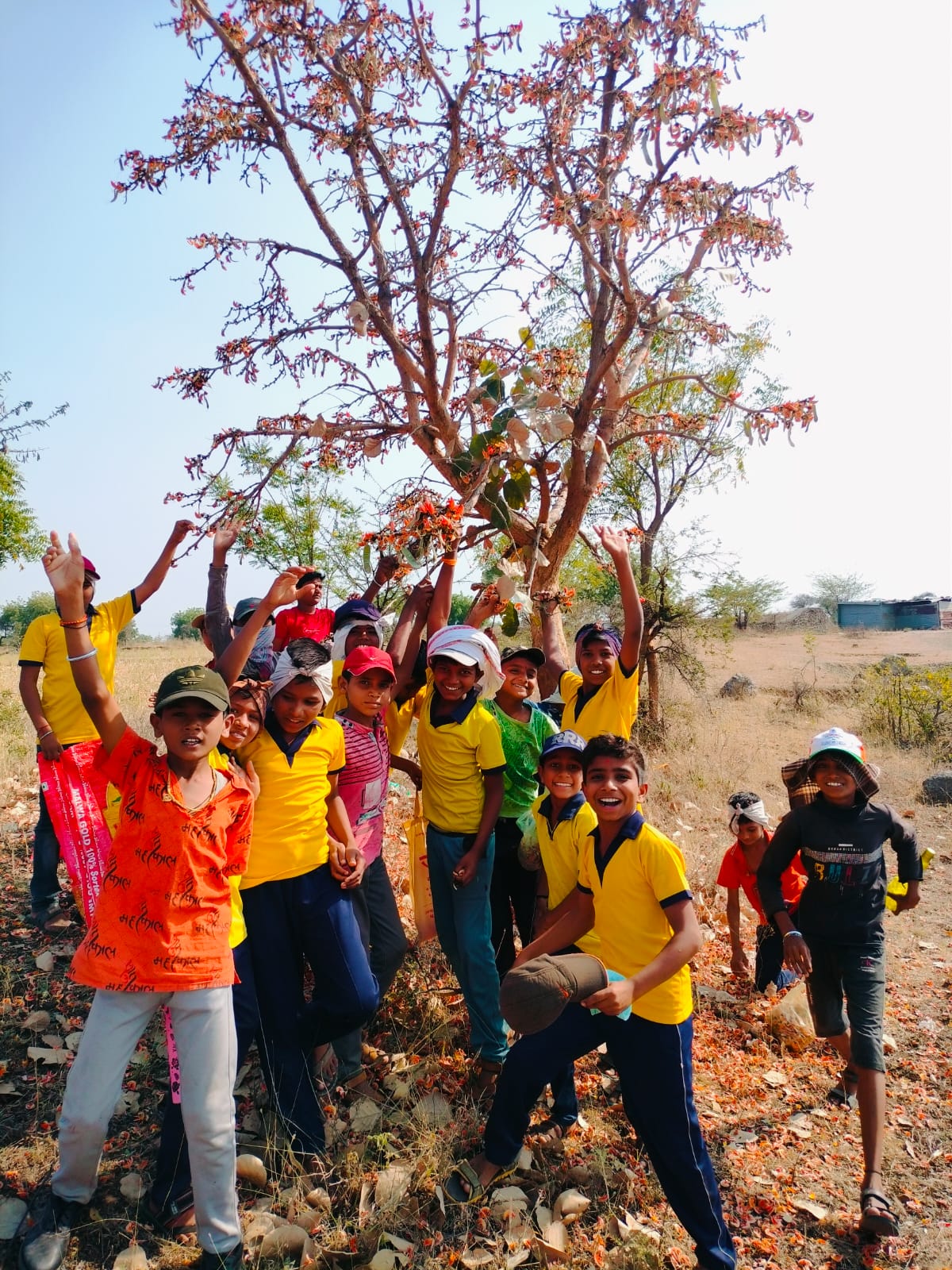 Eco friendly Holi celebration preparation